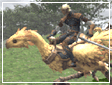 Final Fantasy XI - Chocobos